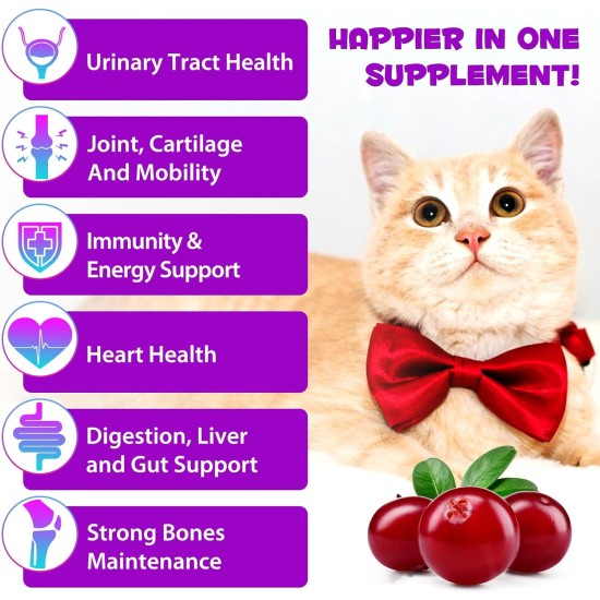 15-in-1 Multivitamin Drops for Cats, Vitamins and Supplements - Liquid Multivitamins for Cats Support Immune Health and Hip and Joint Health 15-in-1 Multivitamin Drops for Cats, Vitamins and Supplements - Liquid Multivitamins for Cats Support Immune Health and Hip and Joint Health