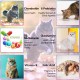 15-in-1 Multivitamin Drops for Cats, Vitamins and Supplements - Liquid Multivitamins for Cats Support Immune Health and Hip and Joint Health 15-in-1 Multivitamin Drops for Cats, Vitamins and Supplements - Liquid Multivitamins for Cats Support Immune Health and Hip and Joint Health