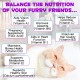 15-in-1 Multivitamin Drops for Cats, Vitamins and Supplements - Liquid Multivitamins for Cats Support Immune Health and Hip and Joint Health 15-in-1 Multivitamin Drops for Cats, Vitamins and Supplements - Liquid Multivitamins for Cats Support Immune Health and Hip and Joint Health