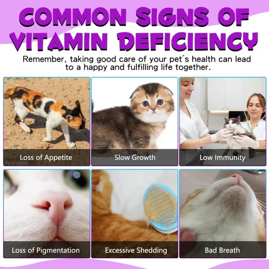 15-in-1 Multivitamin Drops for Cats, Vitamins and Supplements - Liquid Multivitamins for Cats Support Immune Health and Hip and Joint Health 15-in-1 Multivitamin Drops for Cats, Vitamins and Supplements - Liquid Multivitamins for Cats Support Immune Health and Hip and Joint Health