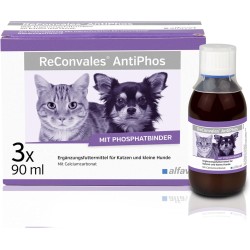 Alfavet ReConvales AntiPhos, to Support the Kidney Function of Cats and Dogs, Dietary Supplement with Phosphate Binder, 3 x 90 ml Bottles