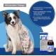 Alfavet ReConvales Energy | Pack of 3 | 3 x 180 ml | Diet Supplementary Food for Cats and Small Dogs | For Nutritional Restoration | Without Dairy Products Alfavet ReConvales Energy | Pack of 3 | 3 x 180 ml | Diet Supplementary Food for Cats and Small Dogs | For Nutritional Restoration | Without Dairy Products