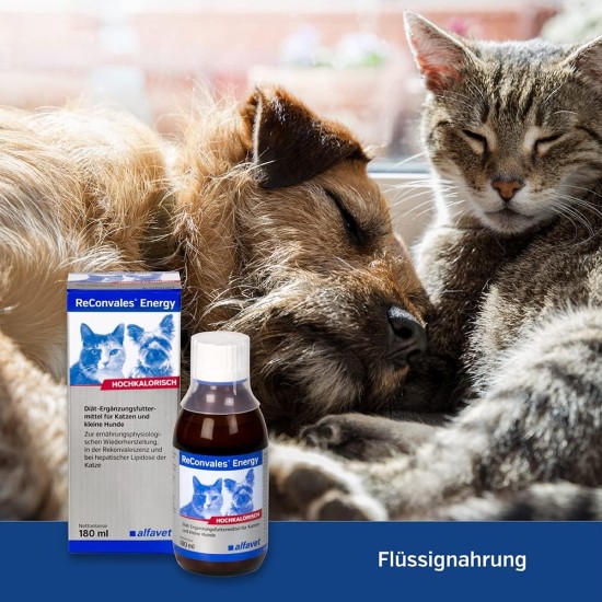 Alfavet ReConvales Energy | Pack of 3 | 3 x 180 ml | Diet Supplementary Food for Cats and Small Dogs | For Nutritional Restoration | Without Dairy Products Alfavet ReConvales Energy | Pack of 3 | 3 x 180 ml | Diet Supplementary Food for Cats and Small Dogs | For Nutritional Restoration | Without Dairy Products