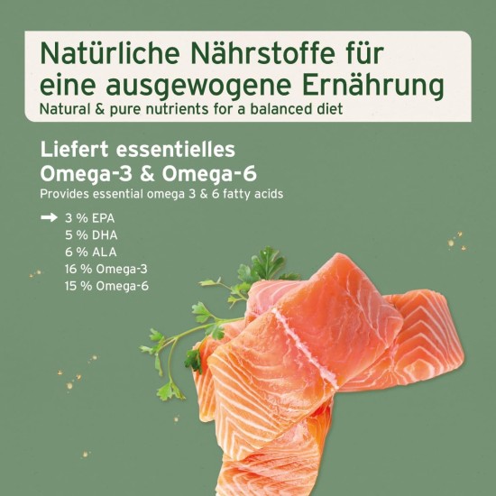 AniForte Salmon Oil For Dogs, 500 ml, Cold-Pressed With Omega-3 And Omega-6 Fatty Acids, Premium Fish Oil For Puppies, Adults, Seniors, Without Additives, Barf Supplement, Recyclable Packaging Without BPA AniForte Salmon Oil For Dogs, 500 ml, Cold-Pressed With Omega-3 And Omega-6 Fatty Acids, Premium Fish Oil For Puppies, Adults, Seniors, Without Additives, Barf Supplement, Recyclable Packaging Without BPA