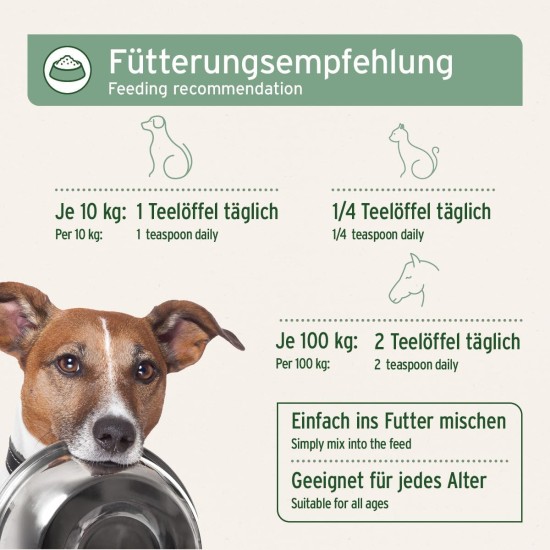 AniForte Salmon Oil For Dogs, 500 ml, Cold-Pressed With Omega-3 And Omega-6 Fatty Acids, Premium Fish Oil For Puppies, Adults, Seniors, Without Additives, Barf Supplement, Recyclable Packaging Without BPA AniForte Salmon Oil For Dogs, 500 ml, Cold-Pressed With Omega-3 And Omega-6 Fatty Acids, Premium Fish Oil For Puppies, Adults, Seniors, Without Additives, Barf Supplement, Recyclable Packaging Without BPA