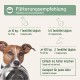 AniForte Salmon Oil For Dogs, 500 ml, Cold-Pressed With Omega-3 And Omega-6 Fatty Acids, Premium Fish Oil For Puppies, Adults, Seniors, Without Additives, Barf Supplement, Recyclable Packaging Without BPA AniForte Salmon Oil For Dogs, 500 ml, Cold-Pressed With Omega-3 And Omega-6 Fatty Acids, Premium Fish Oil For Puppies, Adults, Seniors, Without Additives, Barf Supplement, Recyclable Packaging Without BPA