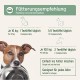 AniForte Salmon Oil For Dogs, 500 ml, Cold-Pressed With Omega-3 And Omega-6 Fatty Acids, Premium Fish Oil For Puppies, Adults, Seniors, Without Additives, Barf Supplement, Recyclable Packaging Without BPA AniForte Salmon Oil For Dogs, 500 ml, Cold-Pressed With Omega-3 And Omega-6 Fatty Acids, Premium Fish Oil For Puppies, Adults, Seniors, Without Additives, Barf Supplement, Recyclable Packaging Without BPA