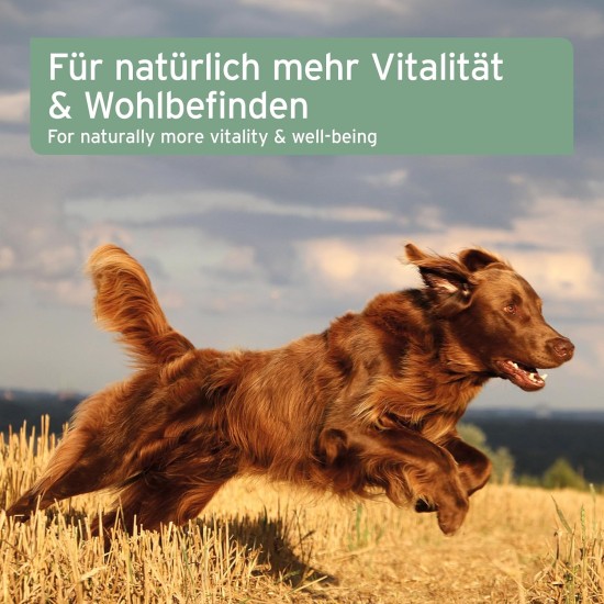 AniForte Salmon Oil For Dogs, 500 ml, Cold-Pressed With Omega-3 And Omega-6 Fatty Acids, Premium Fish Oil For Puppies, Adults, Seniors, Without Additives, Barf Supplement, Recyclable Packaging Without BPA AniForte Salmon Oil For Dogs, 500 ml, Cold-Pressed With Omega-3 And Omega-6 Fatty Acids, Premium Fish Oil For Puppies, Adults, Seniors, Without Additives, Barf Supplement, Recyclable Packaging Without BPA