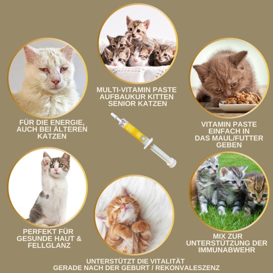 Cat Vitamins - Multi Vitamin Paste for Cats 15 ml I Vitamin B Complex High Dose I B Vitamin with A B1 B2 B6 C D I Vitamins for Cat Plus Biotin I Multivitamin Paste Cat for Immune System Cat Vitamins - Multi Vitamin Paste for Cats 15 ml I Vitamin B Complex High Dose I B Vitamin with A B1 B2 B6 C D I Vitamins for Cat Plus Biotin I Multivitamin Paste Cat for Immune System