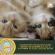 Cat Vitamins - Multi Vitamin Paste for Cats 15 ml I Vitamin B Complex High Dose I B Vitamin with A B1 B2 B6 C D I Vitamins for Cat Plus Biotin I Multivitamin Paste Cat for Immune System