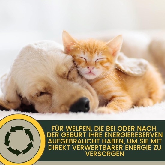 Cat Vitamins - Multi Vitamin Paste for Cats 15 ml I Vitamin B Complex High Dose I B Vitamin with A B1 B2 B6 C D I Vitamins for Cat Plus Biotin I Multivitamin Paste Cat for Immune System Cat Vitamins - Multi Vitamin Paste for Cats 15 ml I Vitamin B Complex High Dose I B Vitamin with A B1 B2 B6 C D I Vitamins for Cat Plus Biotin I Multivitamin Paste Cat for Immune System