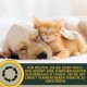 Cat Vitamins - Multi Vitamin Paste for Cats 15 ml I Vitamin B Complex High Dose I B Vitamin with A B1 B2 B6 C D I Vitamins for Cat Plus Biotin I Multivitamin Paste Cat for Immune System