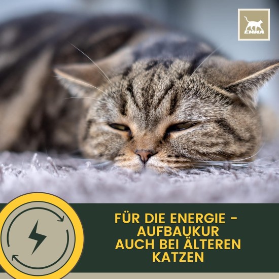 Cat Vitamins - Multi Vitamin Paste for Cats 15 ml I Vitamin B Complex High Dose I B Vitamin with A B1 B2 B6 C D I Vitamins for Cat Plus Biotin I Multivitamin Paste Cat for Immune System Cat Vitamins - Multi Vitamin Paste for Cats 15 ml I Vitamin B Complex High Dose I B Vitamin with A B1 B2 B6 C D I Vitamins for Cat Plus Biotin I Multivitamin Paste Cat for Immune System