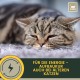 Cat Vitamins - Multi Vitamin Paste for Cats 15 ml I Vitamin B Complex High Dose I B Vitamin with A B1 B2 B6 C D I Vitamins for Cat Plus Biotin I Multivitamin Paste Cat for Immune System
