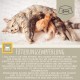 Cat Vitamins - Multi Vitamin Paste for Cats 15 ml I Vitamin B Complex High Dose I B Vitamin with A B1 B2 B6 C D I Vitamins for Cat Plus Biotin I Multivitamin Paste Cat for Immune System