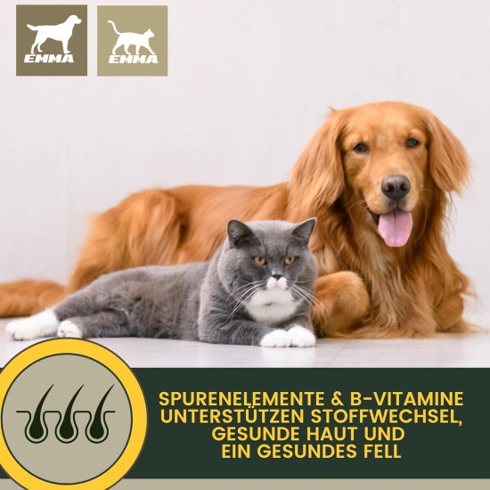 Cat Vitamins - Multi Vitamin Paste for Cats 15 ml I Vitamin B Complex High Dose I B Vitamin with A B1 B2 B6 C D I Vitamins for Cat Plus Biotin I Multivitamin Paste Cat for Immune System Cat Vitamins - Multi Vitamin Paste for Cats 15 ml I Vitamin B Complex High Dose I B Vitamin with A B1 B2 B6 C D I Vitamins for Cat Plus Biotin I Multivitamin Paste Cat for Immune System