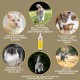 EMMA Cat Vitamins I Multi Vitamins for Cats 100 ml I Vitamin B Complex I B Vitamins with A Vitamin B12 D3 E & Minerals I Folic Acid Iron & L Lysine Cat I Multivitamin Complex Immune System Strengthen EMMA Cat Vitamins I Multi Vitamins for Cats 100 ml I Vitamin B Complex I B Vitamins with A Vitamin B12 D3 E & Minerals I Folic Acid Iron & L Lysine Cat I Multivitamin Complex Immune System Strengthen