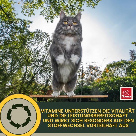 EMMA Cat Vitamins I Multi Vitamins for Cats 100 ml I Vitamin B Complex I B Vitamins with A Vitamin B12 D3 E & Minerals I Folic Acid Iron & L Lysine Cat I Multivitamin Complex Immune System Strengthen EMMA Cat Vitamins I Multi Vitamins for Cats 100 ml I Vitamin B Complex I B Vitamins with A Vitamin B12 D3 E & Minerals I Folic Acid Iron & L Lysine Cat I Multivitamin Complex Immune System Strengthen