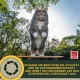 EMMA Cat Vitamins I Multi Vitamins for Cats 100 ml I Vitamin B Complex I B Vitamins with A Vitamin B12 D3 E & Minerals I Folic Acid Iron & L Lysine Cat I Multivitamin Complex Immune System Strengthen EMMA Cat Vitamins I Multi Vitamins for Cats 100 ml I Vitamin B Complex I B Vitamins with A Vitamin B12 D3 E & Minerals I Folic Acid Iron & L Lysine Cat I Multivitamin Complex Immune System Strengthen