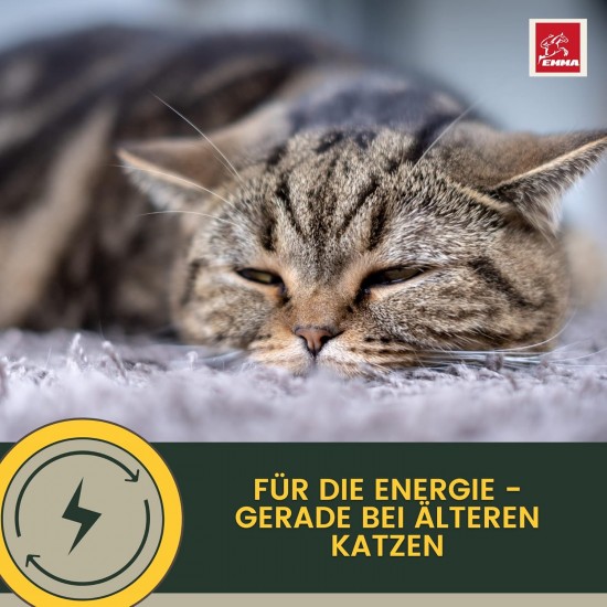 EMMA Cat Vitamins I Multi Vitamins for Cats 100 ml I Vitamin B Complex I B Vitamins with A Vitamin B12 D3 E & Minerals I Folic Acid Iron & L Lysine Cat I Multivitamin Complex Immune System Strengthen EMMA Cat Vitamins I Multi Vitamins for Cats 100 ml I Vitamin B Complex I B Vitamins with A Vitamin B12 D3 E & Minerals I Folic Acid Iron & L Lysine Cat I Multivitamin Complex Immune System Strengthen