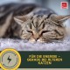 EMMA Cat Vitamins I Multi Vitamins for Cats 100 ml I Vitamin B Complex I B Vitamins with A Vitamin B12 D3 E & Minerals I Folic Acid Iron & L Lysine Cat I Multivitamin Complex Immune System Strengthen EMMA Cat Vitamins I Multi Vitamins for Cats 100 ml I Vitamin B Complex I B Vitamins with A Vitamin B12 D3 E & Minerals I Folic Acid Iron & L Lysine Cat I Multivitamin Complex Immune System Strengthen
