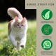 EMMA Cat Vitamins I Multi Vitamins for Cats 100 ml I Vitamin B Complex I B Vitamins with A Vitamin B12 D3 E & Minerals I Folic Acid Iron & L Lysine Cat I Multivitamin Complex Immune System Strengthen EMMA Cat Vitamins I Multi Vitamins for Cats 100 ml I Vitamin B Complex I B Vitamins with A Vitamin B12 D3 E & Minerals I Folic Acid Iron & L Lysine Cat I Multivitamin Complex Immune System Strengthen