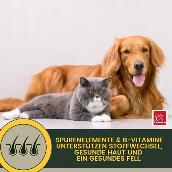 EMMA Cat Vitamins I Multi Vitamins for Cats 100 ml I Vitamin B Complex I B Vitamins with A Vitamin B12 D3 E & Minerals I Folic Acid Iron & L Lysine Cat I Multivitamin Complex Immune System Strengthen EMMA Cat Vitamins I Multi Vitamins for Cats 100 ml I Vitamin B Complex I B Vitamins with A Vitamin B12 D3 E & Minerals I Folic Acid Iron & L Lysine Cat I Multivitamin Complex Immune System Strengthen
