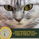 EMMA Cough Syrup Cat I Bronchiobol Thyme Cough Syrup I Herb Syrup I Means Support Respiratory Tract for Cough I Mucus Remover I Cough Remover Bronchial Liquid I Supplementary Food Cats 100 ml EMMA Cough Syrup Cat I Bronchiobol Thyme Cough Syrup I Herb Syrup I Means Support Respiratory Tract for Cough I Mucus Remover I Cough Remover Bronchial Liquid I Supplementary Food Cats 100 ml