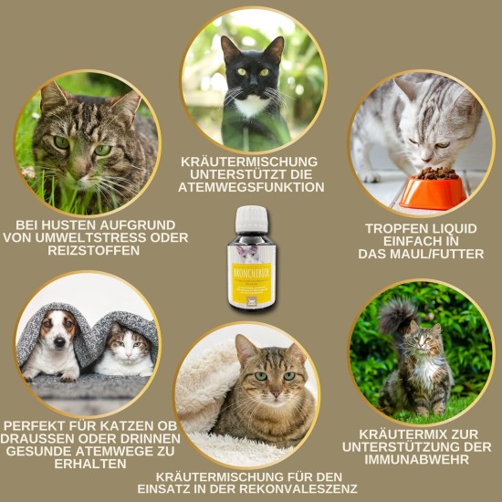 EMMA Cough Syrup Cat I Bronchiobol Thyme Cough Syrup I Herb Syrup I Means Support Respiratory Tract for Cough I Mucus Remover I Cough Remover Bronchial Liquid I Supplementary Food Cats 100 ml EMMA Cough Syrup Cat I Bronchiobol Thyme Cough Syrup I Herb Syrup I Means Support Respiratory Tract for Cough I Mucus Remover I Cough Remover Bronchial Liquid I Supplementary Food Cats 100 ml