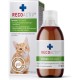 Immune Tonic for Cats for Prevention and Boosting Immune System Effective Dietary Appetite Stimulator for Cats with Loss of Appetite Immune Tonic for Cats for Prevention and Boosting Immune System Effective Dietary Appetite Stimulator for Cats with Loss of Appetite