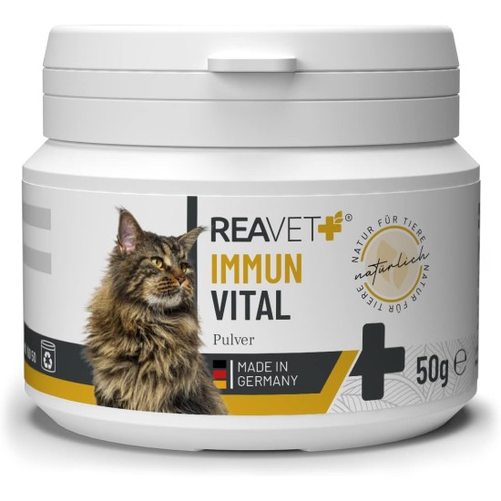 Immune Vital for Cats 50 g - for More Wellbeing and Vitality I Natural Defence, Strengthens the Immune System, No Artificial Additives, Rich in Minerals Immune Vital for Cats 50 g - for More Wellbeing and Vitality I Natural Defence, Strengthens the Immune System, No Artificial Additives, Rich in Minerals