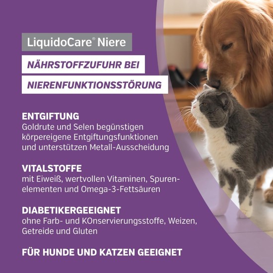 Kidney for Cats and Dogs, Nutrient Supply for Kidney Function Disorders, Supplementary Feed Liquid, 180 ml Kidney for Cats and Dogs, Nutrient Supply for Kidney Function Disorders, Supplementary Feed Liquid, 180 ml