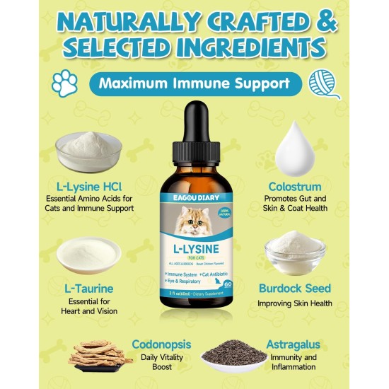 Lysine Cat - L-Lysine Drops for Cats and Kittens, Kittens Immune System, Runny Nose, Relief of Allergies, Sneezing, Dietary Supplements with Vitamins and Minerals, Colostrum, Taurine Lysine Cat - L-Lysine Drops for Cats and Kittens, Kittens Immune System, Runny Nose, Relief of Allergies, Sneezing, Dietary Supplements with Vitamins and Minerals, Colostrum, Taurine