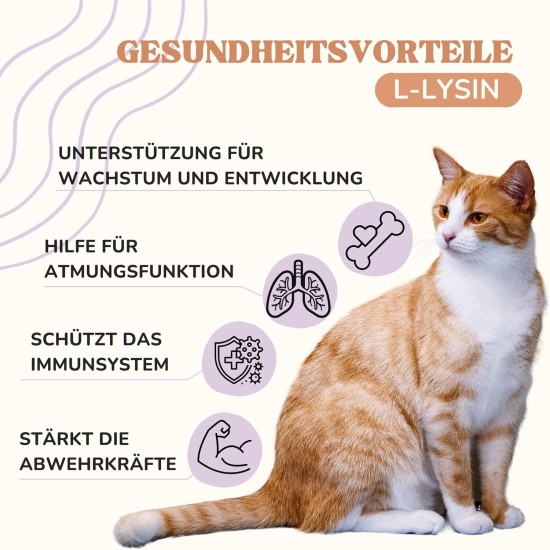 Lysine cat to strengthen the immune system, natural L lysine cat, a remedy against cat runny nose, lysine powder with pleasant taste that can be easily integrated into the food Lysine cat to strengthen the immune system, natural L lysine cat, a remedy against cat runny nose, lysine powder with pleasant taste that can be easily integrated into the food