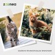 Mineral Mix Cats 250g - Mineral & Vitamin Supply for Cats | Perfectly Matched Vitamins & Minerals for up to 250 Days Mineral Mix Cats 250g - Mineral & Vitamin Supply for Cats | Perfectly Matched Vitamins & Minerals for up to 250 Days