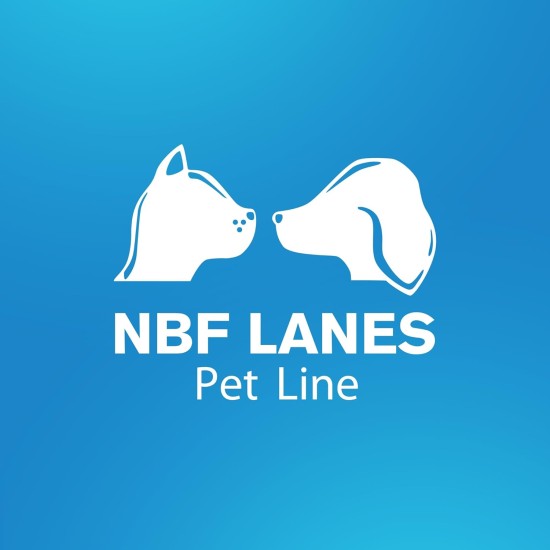 NBF Lanes | Nefrokrill Cat Supplementary Feed for Cats, 60 Soft Gel Beads, Support Kidney Function in Chronic Renal Insufficiency, for Adult and Older Cats NBF Lanes | Nefrokrill Cat Supplementary Feed for Cats, 60 Soft Gel Beads, Support Kidney Function in Chronic Renal Insufficiency, for Adult and Older Cats