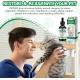 Natürliche Antibiotika für Katzen, Katzen Antibiotika für Infektion, Katzen-Antibiotikum Unterstützt Immunsystem & Katze Allergie Relief, Juckreiz Linderung für Katzen, Katze Antibiotika für UTI Natürliche Antibiotika für Katzen, Katzen Antibiotika für Infektion, Katzen-Antibiotikum Unterstützt Immunsystem & Katze Allergie Relief, Juckreiz Linderung für Katzen, Katze Antibiotika für UTI