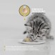 Peticare Diet Slim Vital Powder for Cats, Supports Weight Loss Process and Weight Control, Reduces Overweight & Strengthens Saturation, Natural Supplementary Food, PetCat Health 3606