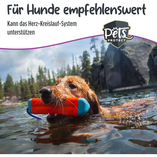 Pets Protect 100% Pure TAURIN Powder for Cats & Dogs 150 g | Healthy Retina & Organ Function | Immune System & Metabolism | Strengthening Cardiovascular System | Made in Germany Pets Protect 100% Pure TAURIN Powder for Cats & Dogs 150 g | Healthy Retina & Organ Function | Immune System & Metabolism | Strengthening Cardiovascular System | Made in Germany