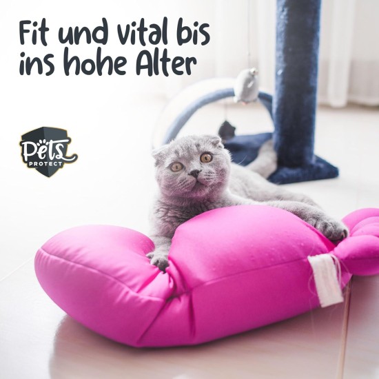 Pets Protect 100% Pure TAURIN Powder for Cats & Dogs 150 g | Healthy Retina & Organ Function | Immune System & Metabolism | Strengthening Cardiovascular System | Made in Germany Pets Protect 100% Pure TAURIN Powder for Cats & Dogs 150 g | Healthy Retina & Organ Function | Immune System & Metabolism | Strengthening Cardiovascular System | Made in Germany