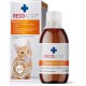 RECOACTIV® Kidney Tonic For Cats, Food Supplement For Cats With Kidney Disease As Well As For Prevention, Tonic For Cat's Convalescing From Kidney Failure RECOACTIV® Kidney Tonic For Cats, Food Supplement For Cats With Kidney Disease As Well As For Prevention, Tonic For Cat's Convalescing From Kidney Failure
