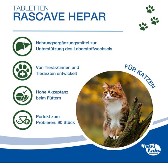 Rascave Hepar Cat Tablets 90 Pieces - Milk Thistle & B Vitamins for Cats - Liver Tablets for Cats - Health Products for Cats - Cats Dietary Supplement with MSM Rascave Hepar Cat Tablets 90 Pieces - Milk Thistle & B Vitamins for Cats - Liver Tablets for Cats - Health Products for Cats - Cats Dietary Supplement with MSM