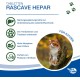 Rascave Hepar Cat Tablets 90 Pieces - Milk Thistle & B Vitamins for Cats - Liver Tablets for Cats - Health Products for Cats - Cats Dietary Supplement with MSM Rascave Hepar Cat Tablets 90 Pieces - Milk Thistle & B Vitamins for Cats - Liver Tablets for Cats - Health Products for Cats - Cats Dietary Supplement with MSM