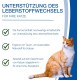 Rascave Hepar Cat Tablets 90 Pieces - Milk Thistle & B Vitamins for Cats - Liver Tablets for Cats - Health Products for Cats - Cats Dietary Supplement with MSM Rascave Hepar Cat Tablets 90 Pieces - Milk Thistle & B Vitamins for Cats - Liver Tablets for Cats - Health Products for Cats - Cats Dietary Supplement with MSM