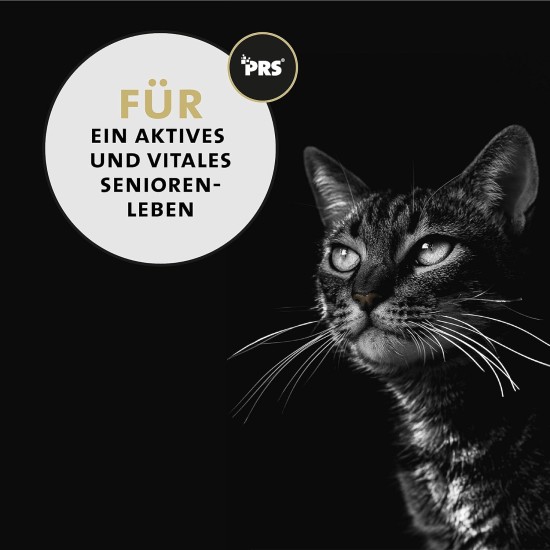 Senior Aktiv Vital Mix Powder for Old Cats, Natural Supplement Food with Green-Lipped Mussel, MSM, Curcuma, Promotes Immune System & Deficiency Symptoms, petCat Health 3603 Senior Aktiv Vital Mix Powder for Old Cats, Natural Supplement Food with Green-Lipped Mussel, MSM, Curcuma, Promotes Immune System & Deficiency Symptoms, petCat Health 3603