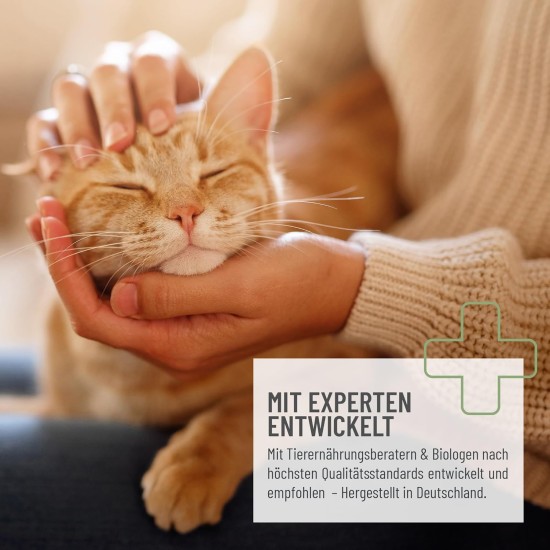 Senior Complete Powder for Older Cats, 3 Months, Minerals, Amino Acids & Vitamins for Old Cat, Memory & Heart Function, Vitality, Agility, Senior Food Senior Complete Powder for Older Cats, 3 Months, Minerals, Amino Acids & Vitamins for Old Cat, Memory & Heart Function, Vitality, Agility, Senior Food