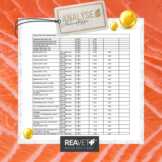 TESTURTEIL SEHR GUT 2025 ReaVET Salmon Oil Cat 100 ml - Rich in Omega 3 & 6, Fish Oil Dogs High Dose I Real Food Quality without Additives I Freshly Bottled in Germany TESTURTEIL SEHR GUT 2025 ReaVET Salmon Oil Cat 100 ml - Rich in Omega 3 & 6, Fish Oil Dogs High Dose I Real Food Quality without Additives I Freshly Bottled in Germany