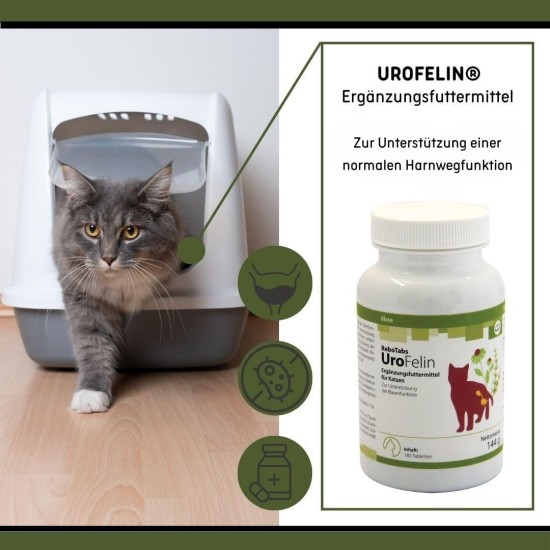 UroFelin Supplementary Feed for Cats, Pack of 180: Supports Normal Urinary Tract Function, Contains Goldenrod & Nasturtium, Can Help Regulate pH Value UroFelin Supplementary Feed for Cats, Pack of 180: Supports Normal Urinary Tract Function, Contains Goldenrod & Nasturtium, Can Help Regulate pH Value