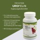 UroFelin Supplementary Feed for Cats, Pack of 180: Supports Normal Urinary Tract Function, Contains Goldenrod & Nasturtium, Can Help Regulate pH Value UroFelin Supplementary Feed for Cats, Pack of 180: Supports Normal Urinary Tract Function, Contains Goldenrod & Nasturtium, Can Help Regulate pH Value