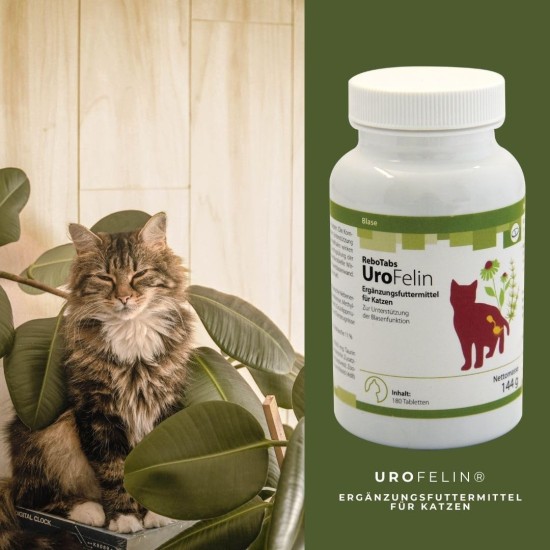UroFelin Supplementary Feed for Cats, Pack of 180: Supports Normal Urinary Tract Function, Contains Goldenrod & Nasturtium, Can Help Regulate pH Value UroFelin Supplementary Feed for Cats, Pack of 180: Supports Normal Urinary Tract Function, Contains Goldenrod & Nasturtium, Can Help Regulate pH Value